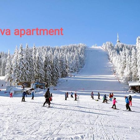 Viva 6 Apartment In Hotel Stenata Pamporovo Exteriör bild