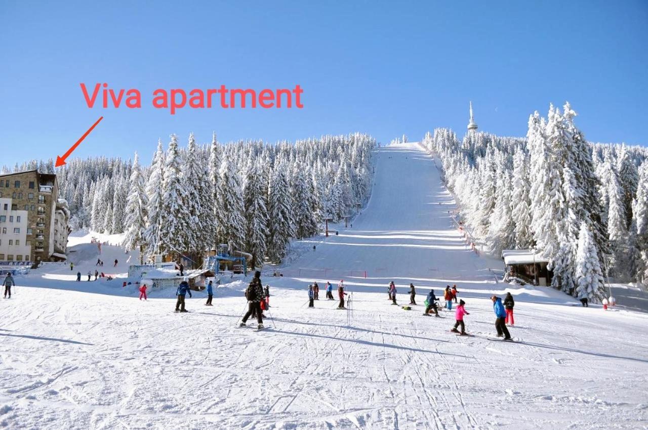 Viva 6 Apartment In Hotel Stenata Pamporovo Exteriör bild